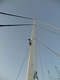 DSC02568.JPG