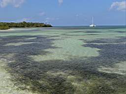 DSC02615.JPG