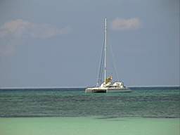 DSC02620.JPG
