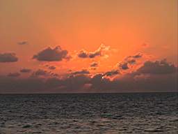 DSC02810.JPG