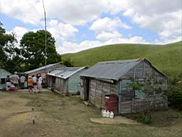 DSC02878.JPG