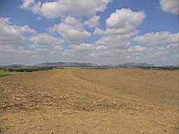 DSC02885.JPG