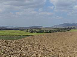 DSC02890.JPG