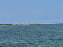 DSC02922.JPG