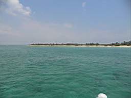 DSC02996.JPG
