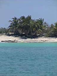 DSC03002.JPG