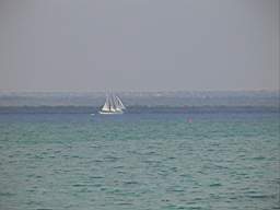 DSC03003.JPG