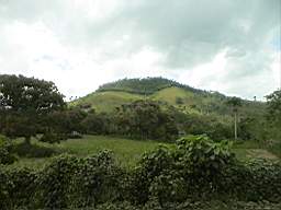 DSC03142.JPG