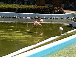 DSC03159.JPG