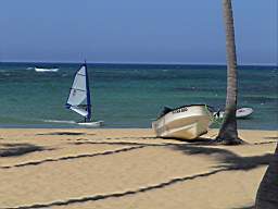 DSC03183.JPG