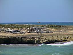 DSC03211.JPG