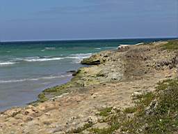 DSC03215.JPG