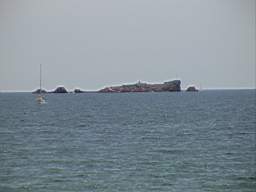 DSC01208.JPG