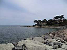 DSC01233.JPG