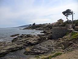 DSC01238.JPG
