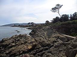 DSC01241.JPG