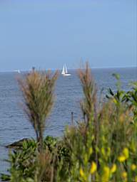 DSC01257.JPG
