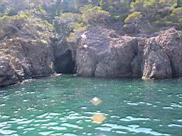 DSC01320.JPG