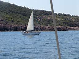 DSC01333.JPG
