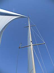 DSC01352.JPG