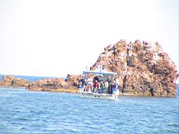 DSC01370.JPG