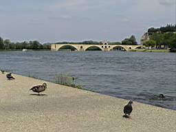 DSC01184.JPG